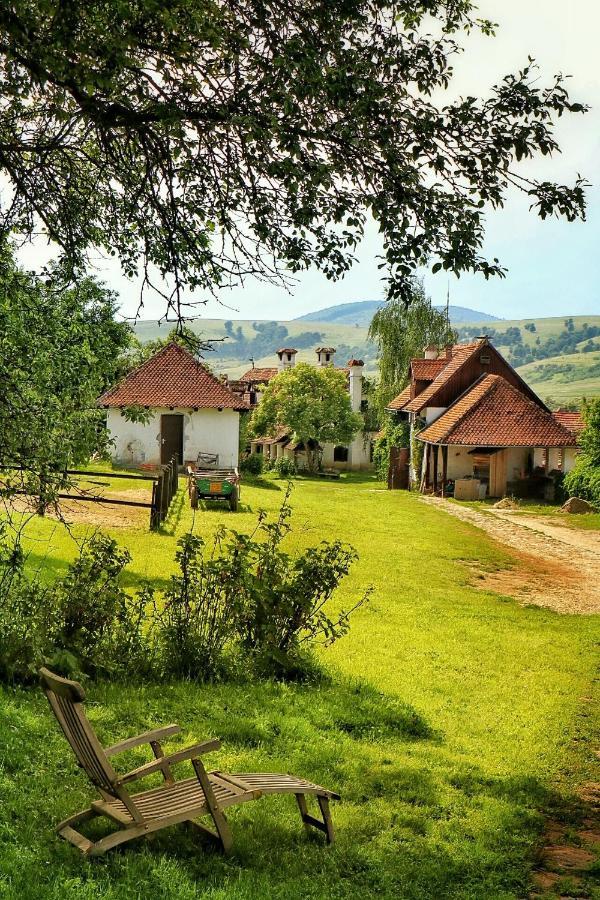 Count Kalnoky'S Transylvanian Guesthouses Miclosoara Екстериор снимка