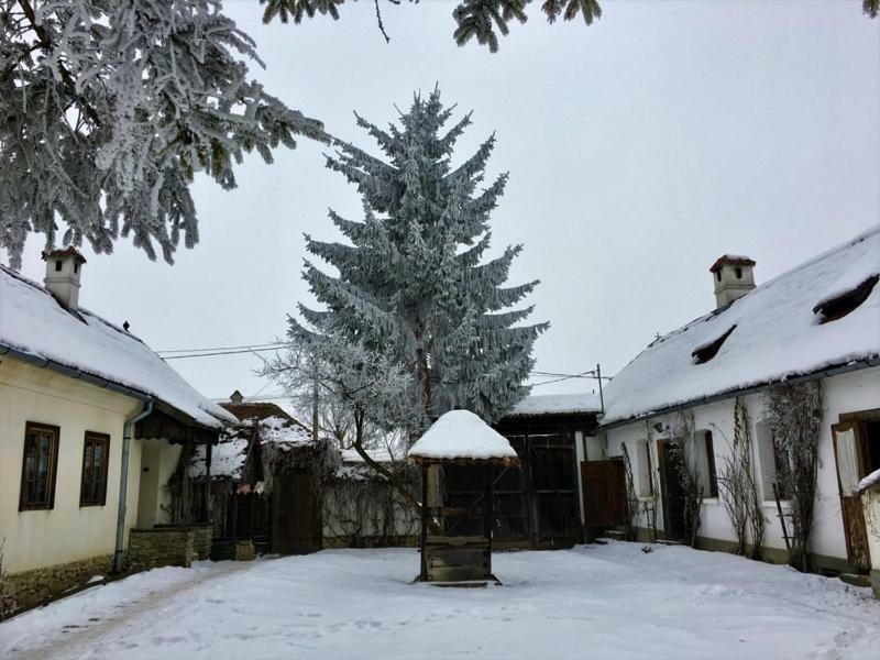 Count Kalnoky'S Transylvanian Guesthouses Miclosoara Екстериор снимка