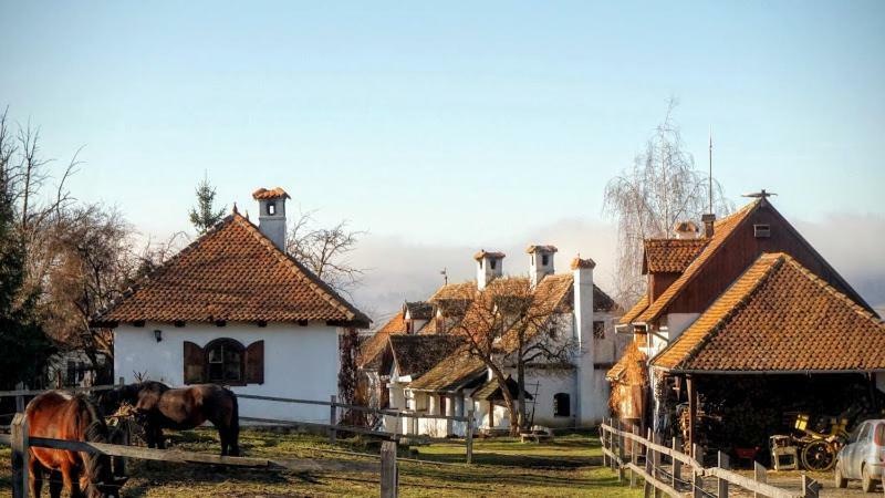 Count Kalnoky'S Transylvanian Guesthouses Miclosoara Екстериор снимка